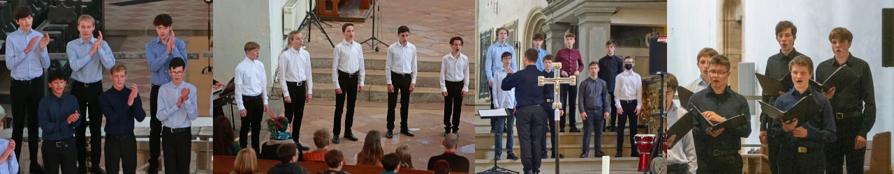 Junge Männerstimmen