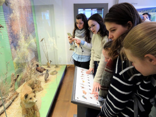 Ankor Choir Jerusalem