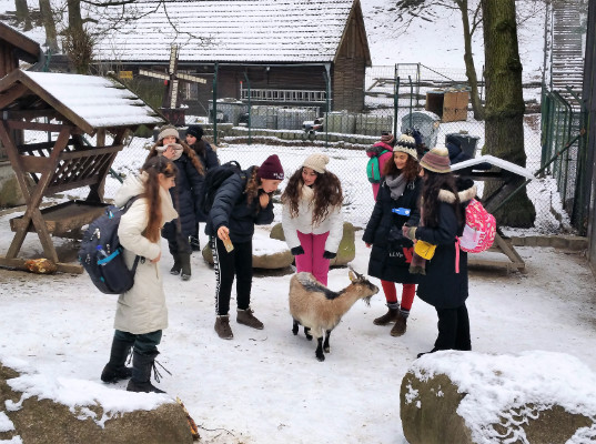 Ankor Choir Jerusalem